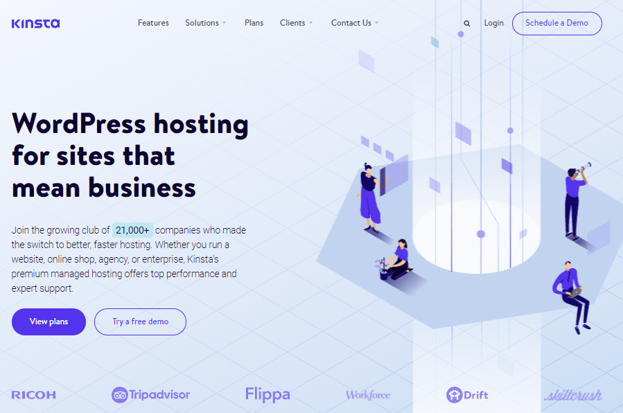 Kinsta Homepage