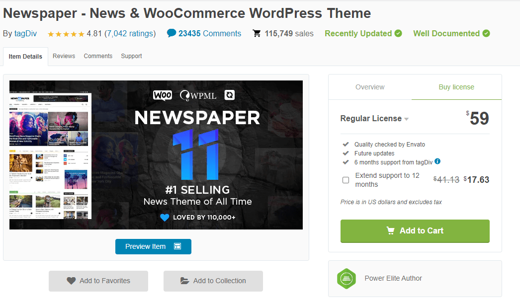 Newspaper Theme Pricing